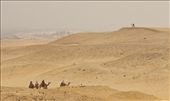 Giza Camel Riders: Could almost be an image of 2000 years ago.: by franciscollins, Views[284]