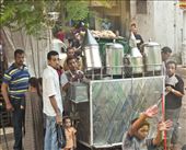Cairo Locals: Observing western tourist bus  while preparing for Eid-ul-fitr.: by franciscollins, Views[349]