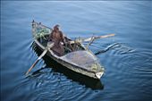 Nile Boatman: Reed gatherer pulls alongside river cruiser looking for cast-offs.: by franciscollins, Views[641]