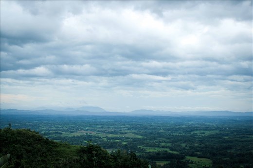 Hello to the Lowlands