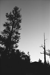 Feeling the music.: by francolarri, Views[622]