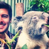 Koala friend down under: by frankthetank, Views[228]