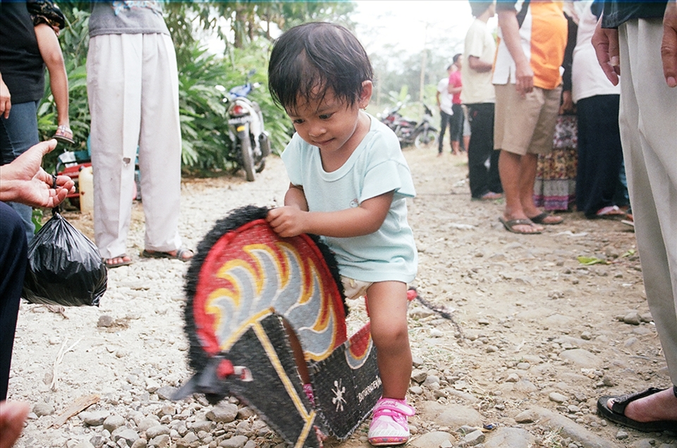 Run, Little Horse, Run!