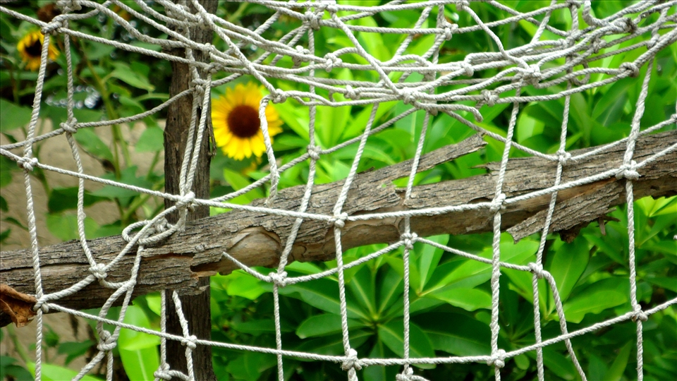 Don't trap the nature