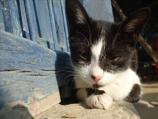 Eyes are the screens to tell you a story