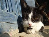 Eyes are the screens to tell you a story: by freedwords, Views[326]