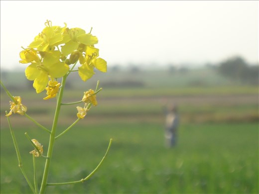 One beautiful thing beautiies the whole world