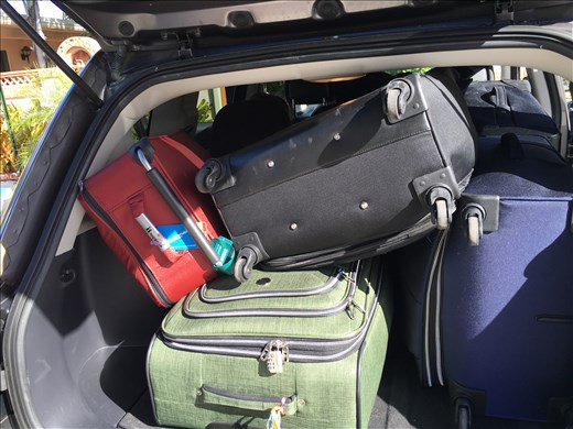 many bags many memories