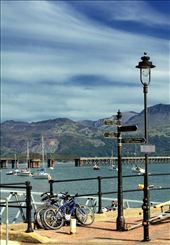 by frieda, Views[371]