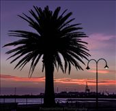 Industrial Disguised
Watching the sunset over the ocean I noticed that even though the pier is lined with palm trees in the distance there sat the industrial docks of Melbourne. The source of income but also the pollution and the ugly exterior that was being masked by the beauty of the sand beach and the feel of the two creating some balance as we try to correct and give a little balance to this world we live in.
Camera Nikon:  F-stop f/9:  iso 400: shutter speed 1/50
: by frozen79, Views[284]