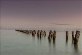 Lost Souls
Overlooking the ocean and a once amazing pier. The water matching the sky at sunrise gave such a surreal feeling as the posts disappeared into the distance. Posts sticking up out of the water once with such purpose now lost maybe confused but no matter how many years have past since they still stand strong as though to us they don’t have a purpose there are creatures unseen under the water that still depend on these lost souls for their survival: by frozen79, Views[761]