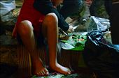 A boy cuts banana leaves that are then used to decorate and wrap the 'krathongs'. 'Krathongs' are usually made of banana tree trunk and decorated with candles and various flowers and plants. With the volume of tourists and locals during Loi Krathong, both young and old line the streets and riverbank with stalls that make and sell these floating baskets.: by fruhlein, Views[511]