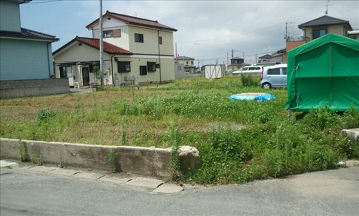 Empty lots with foundations are scattered all around the city where houses once stood.