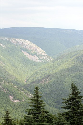 The MacKenzie River Valley - Cape Breton Island