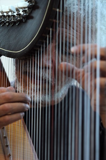 The Harp Master - David Ogalde, Québec City, Quebec
