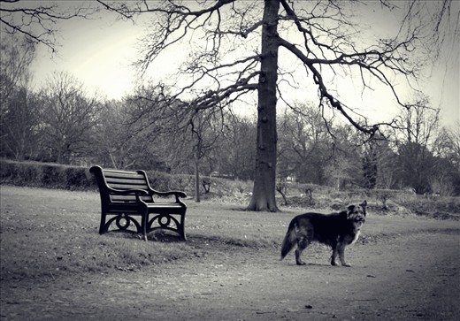 If waiting is forever 