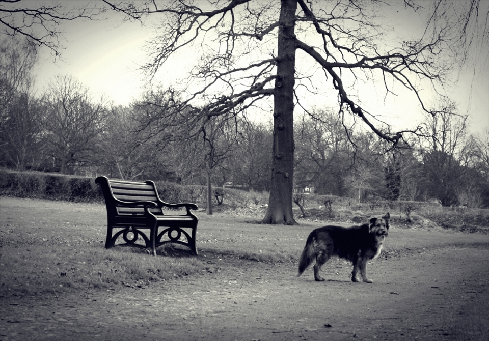 If waiting is forever 