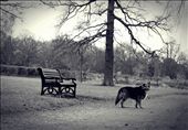 If waiting is forever : by fullmoonsg, Views[304]