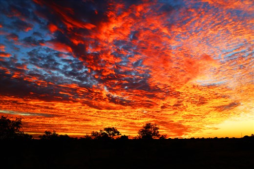 sunset in the outback