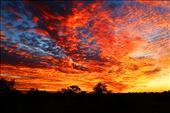 sunset in the outback: by funkybikeart, Views[249]