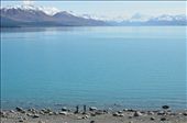 Christchurch to Queenstown: by future_caveman, Views[528]