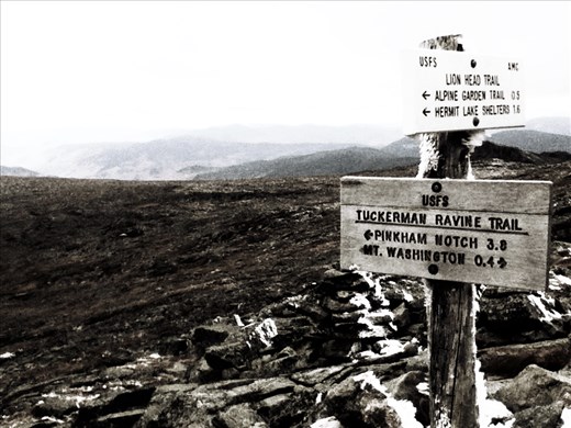 Mount Washington, NH, USA.
This picture was taken on a trip to the top of Mount Washington.