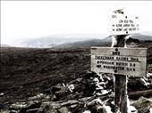 Mount Washington, NH, USA.
This picture was taken on a trip to the top of Mount Washington.: by gab254, Views[426]