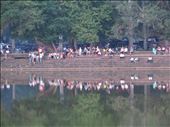 People sitting at the Angkor Wat temple: by gabby76, Views[454]