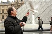 I was walking through the courtyard of the Louvre when I spotted this man standing next to one of the ponds. He was taking pleasure in feeding the seagulls while they took pleasure in perching on top of his head.: by gabi0001, Views[446]
