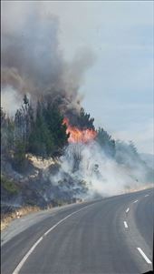 by gables, Views[88]