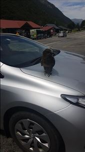 by gables, Views[115]