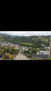 by gables, Views[337]