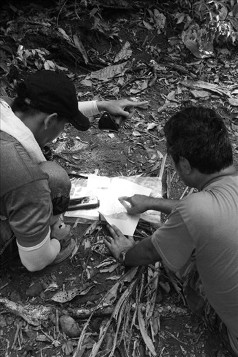 It all started by the strangers. They called themselves as ‘geologists.’ They came from the capital city to my homeland: Fayaul, North Maluku, Indonesia. Long before they came to look for me, they have talked to the local people in the village. They needed the approval from the most influential people in here, such as the local government, youth figures, and even religious leaders. I heard them talking about job opportunities, the rise of the village's living standards, and other prospects that I did not even know could happen to me. After the contract was signed, explorations were then carried out. Maps were brought along with the navigational tools to locate appropriate areas to dig test pits. To find, me.