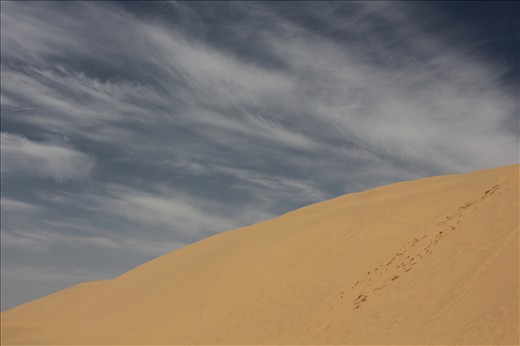 In this unending felt like journey, he witnesses the power of nature.