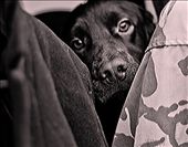 i see you: by gaddy, Views[306]