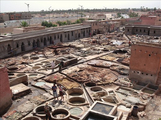 The basic element which harbors human activities and proliferation