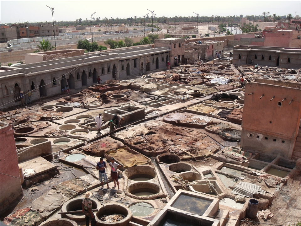 The basic element which harbors human activities and proliferation