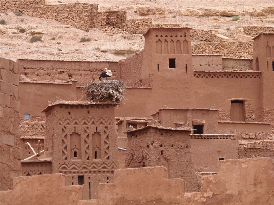 Earth as medium for a special synergy between natural and built environment