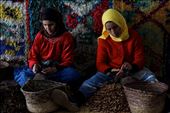 Argan - These ladies are de-shelling argan kernels which will then be pressed to: by galacticdust, Views[309]