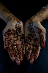 Henna- Jemaa el-Fnaa souk - Marrakesh, Morocco: by galacticdust, Views[417]