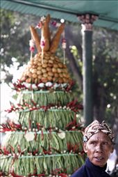 by galatiapuspa, Views[214]