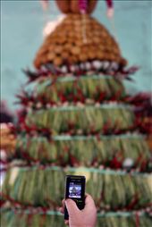 by galatiapuspa, Views[201]