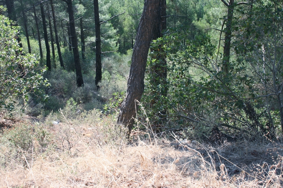 Have to climb another hill