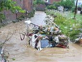  Flood can't stop the routine life: by gangamaa, Views[231]