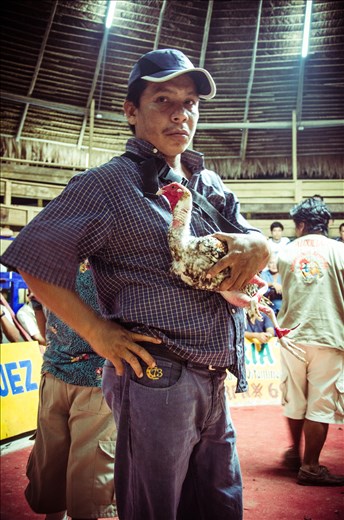 The running champion of the cockfighting championship in Iquitos, Peru.