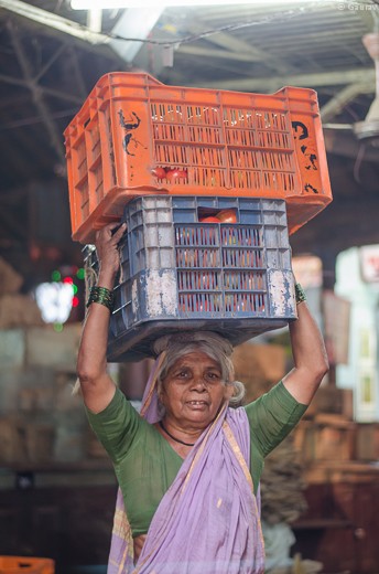 This lady is carrying her tomatoes to her shop. No help for the lady.