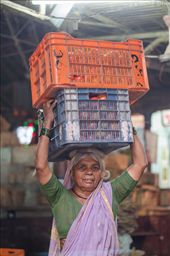 This lady is carrying her tomatoes to her shop. No help for the lady.: by garry, Views[414]