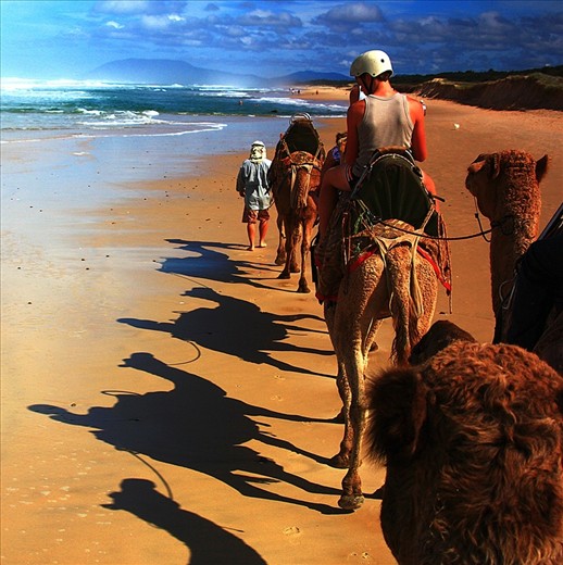 One of many fun activities to do at Port Macquarie is a ride on the camel train along the beutiful Lighthouse Beach.