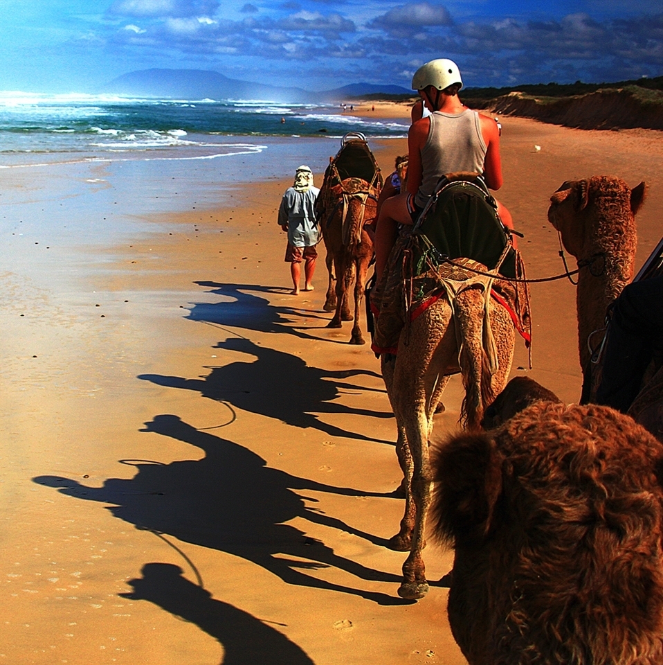 One of many fun activities to do at Port Macquarie is a ride on the camel train along the beutiful Lighthouse Beach.