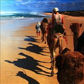 One of many fun activities to do at Port Macquarie is a ride on the camel train along the beutiful Lighthouse Beach.: by garyd0014, Views[377]